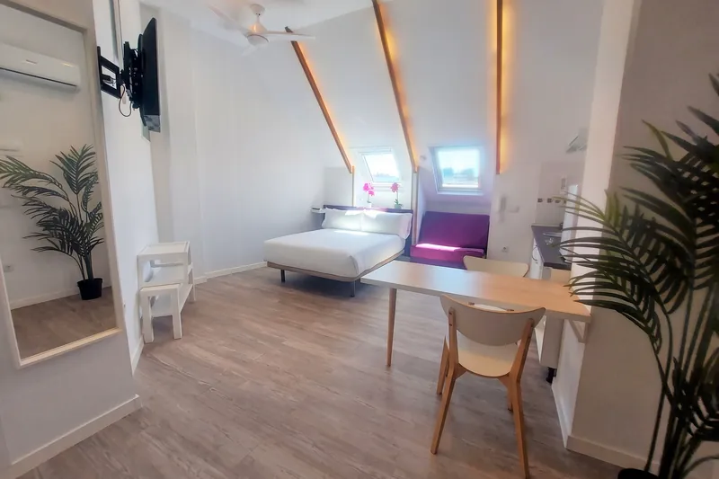 Estudio amplio bajo cubierta con cama, mesa de comedor y plantas
